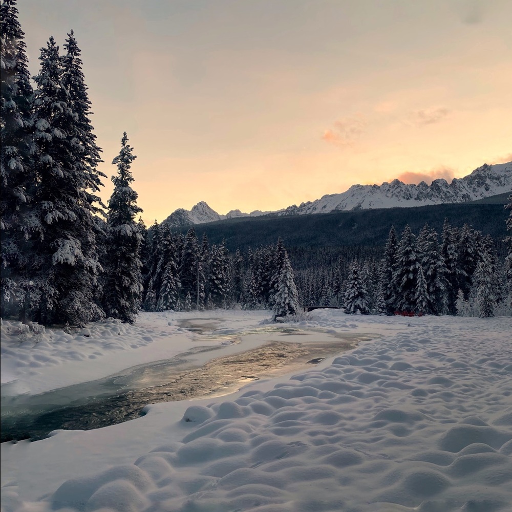 Meet your Posher, Natasha